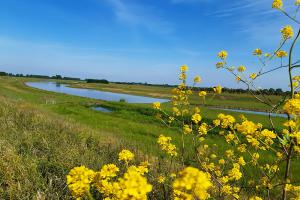 images/omgeving/omgeving-maasarm.jpg
